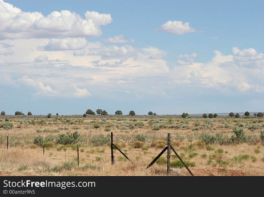 Natural desert vegetation surrounded by barbed wire