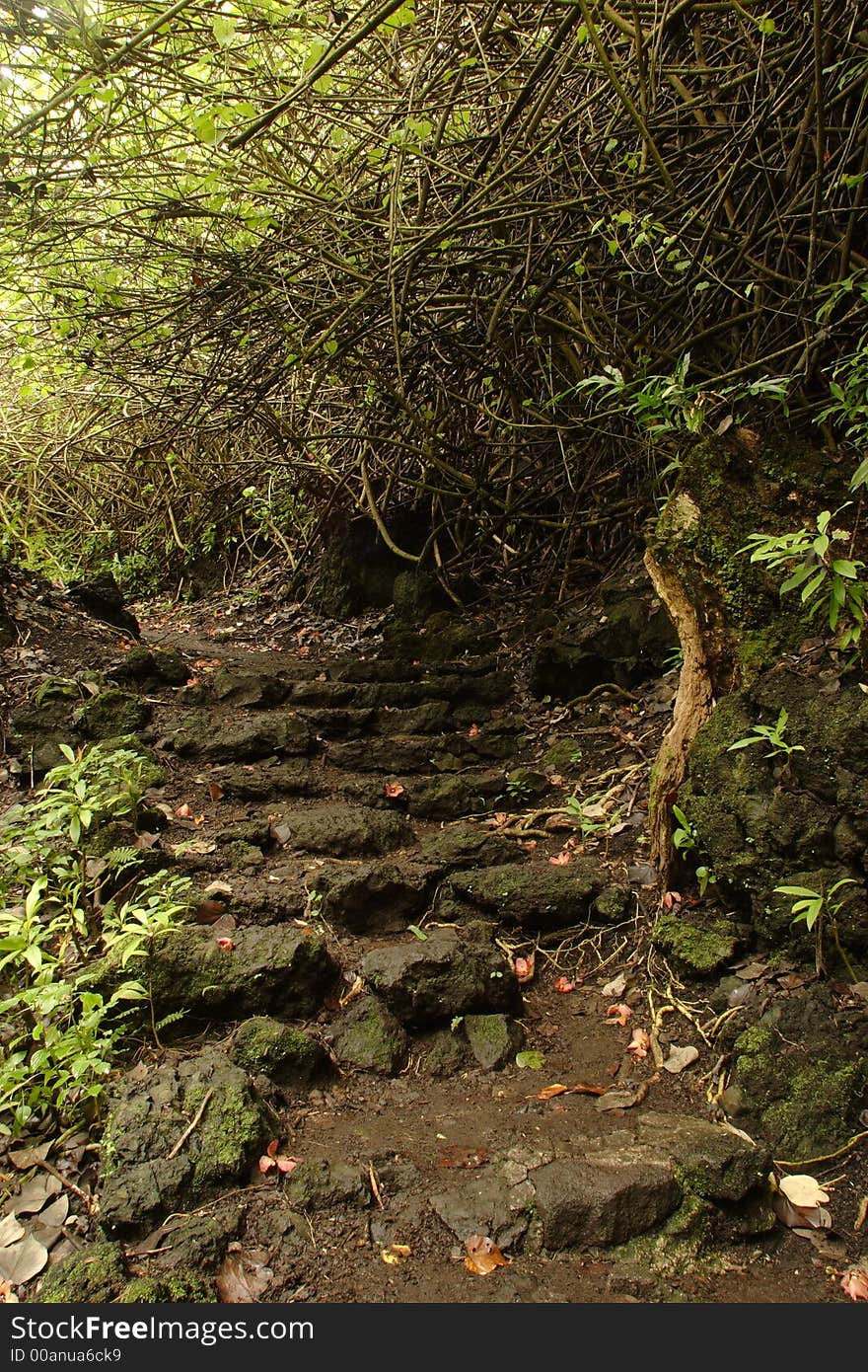 Waianapanapa Loop Trail