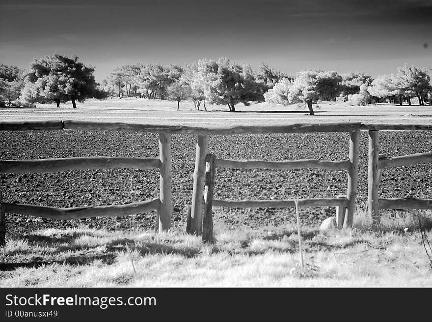 Infrared Scene