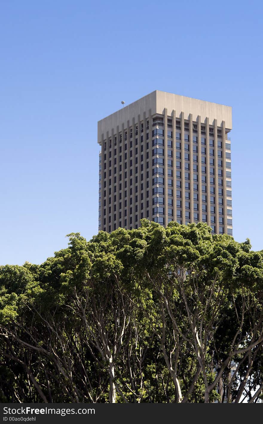 Tall Office Building, Urban Park, Sydney, Australia