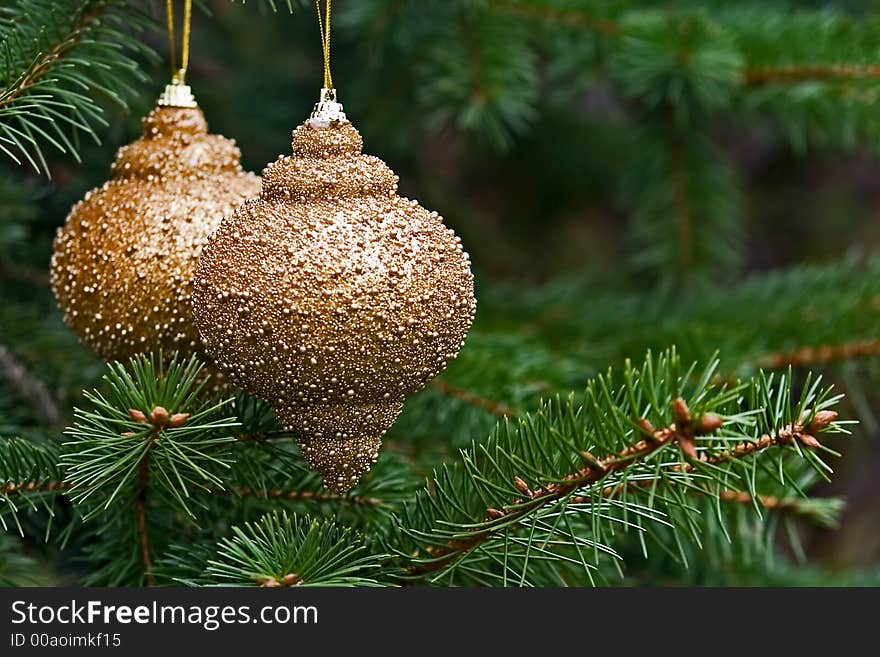 Macro Picture Of Two Golden Bulbs