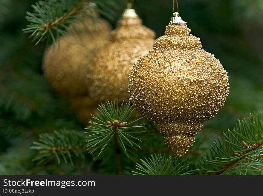 Macro picture of three golden bulbs with Main focus on front bulb