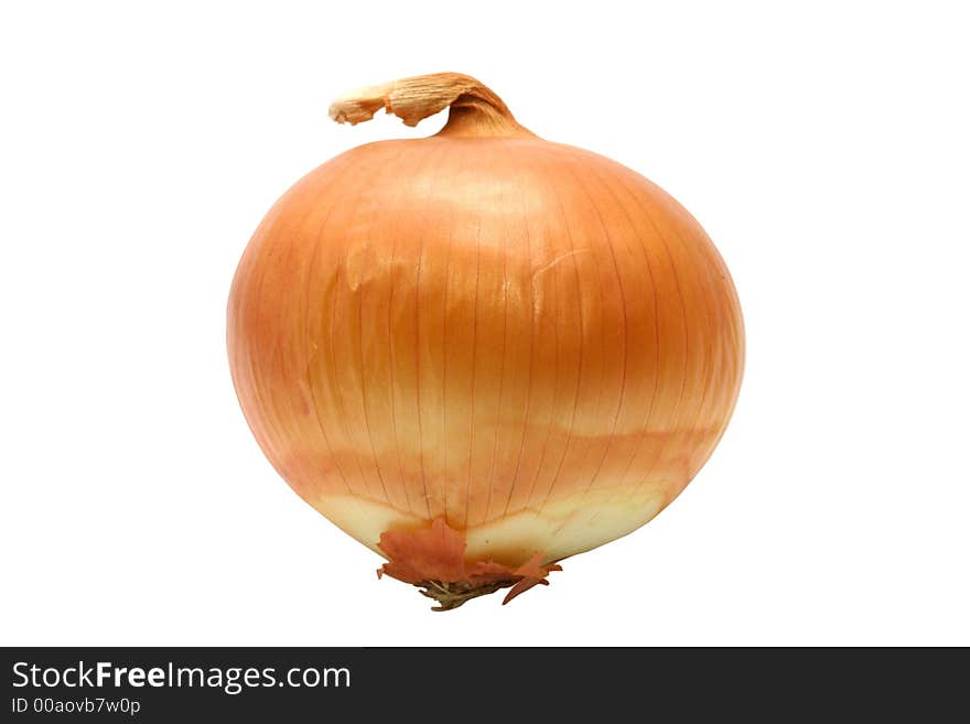 Isolated onion on a white background. Isolated onion on a white background