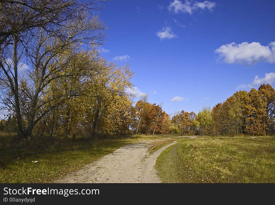 Road in Autumn Park