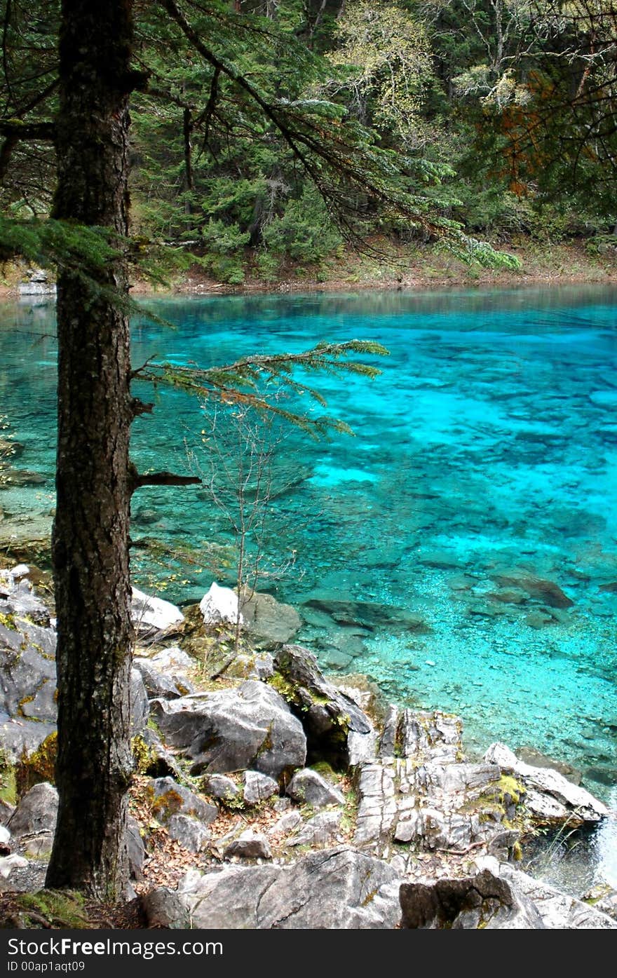 Jiuzhaigou scenic area in china known as the Fairyland on Earth. Jiuzhaigou scenic area in china known as the Fairyland on Earth.