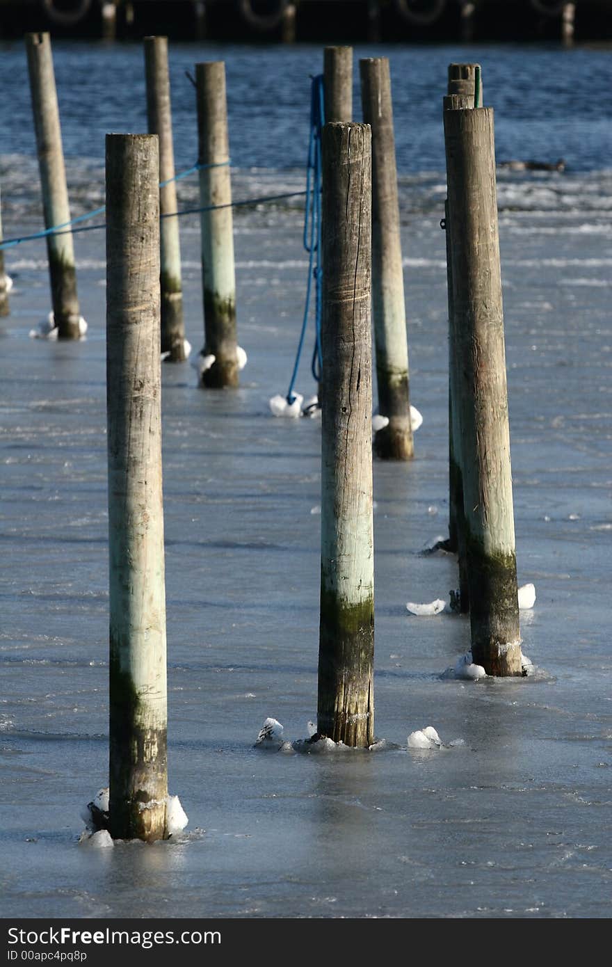 Ice  - frozen water and poles in a danish harbor. Ice  - frozen water and poles in a danish harbor