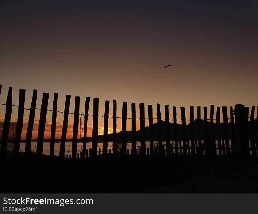 The Calvi bay is one of the most wonderful in the whole Corsica , view over the bay at sunset through a wooden fence, a bird in the sky. The Calvi bay is one of the most wonderful in the whole Corsica , view over the bay at sunset through a wooden fence, a bird in the sky