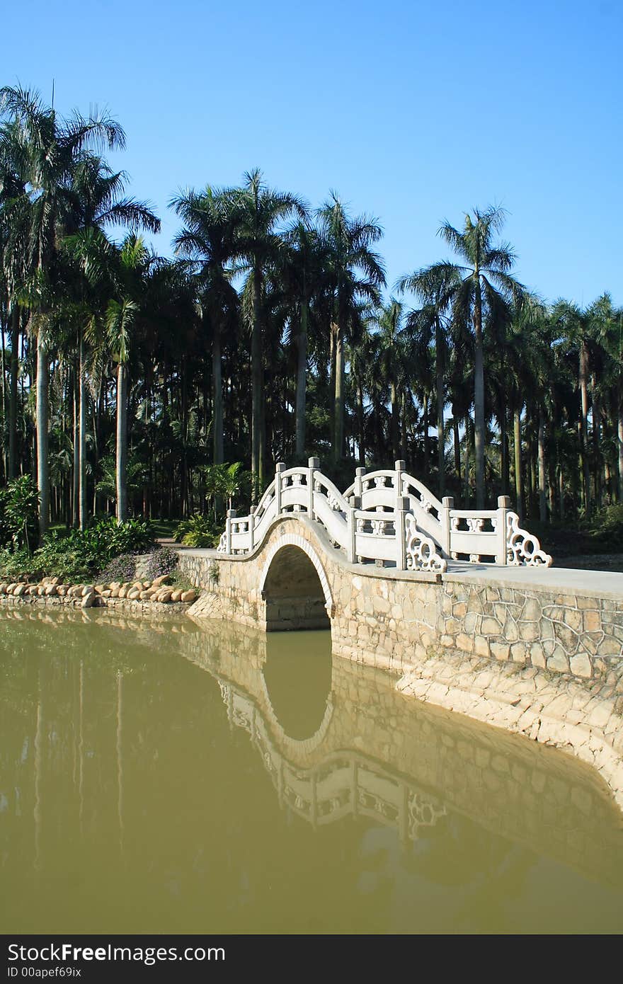 Landscape of arch bridge,palm trees and lake