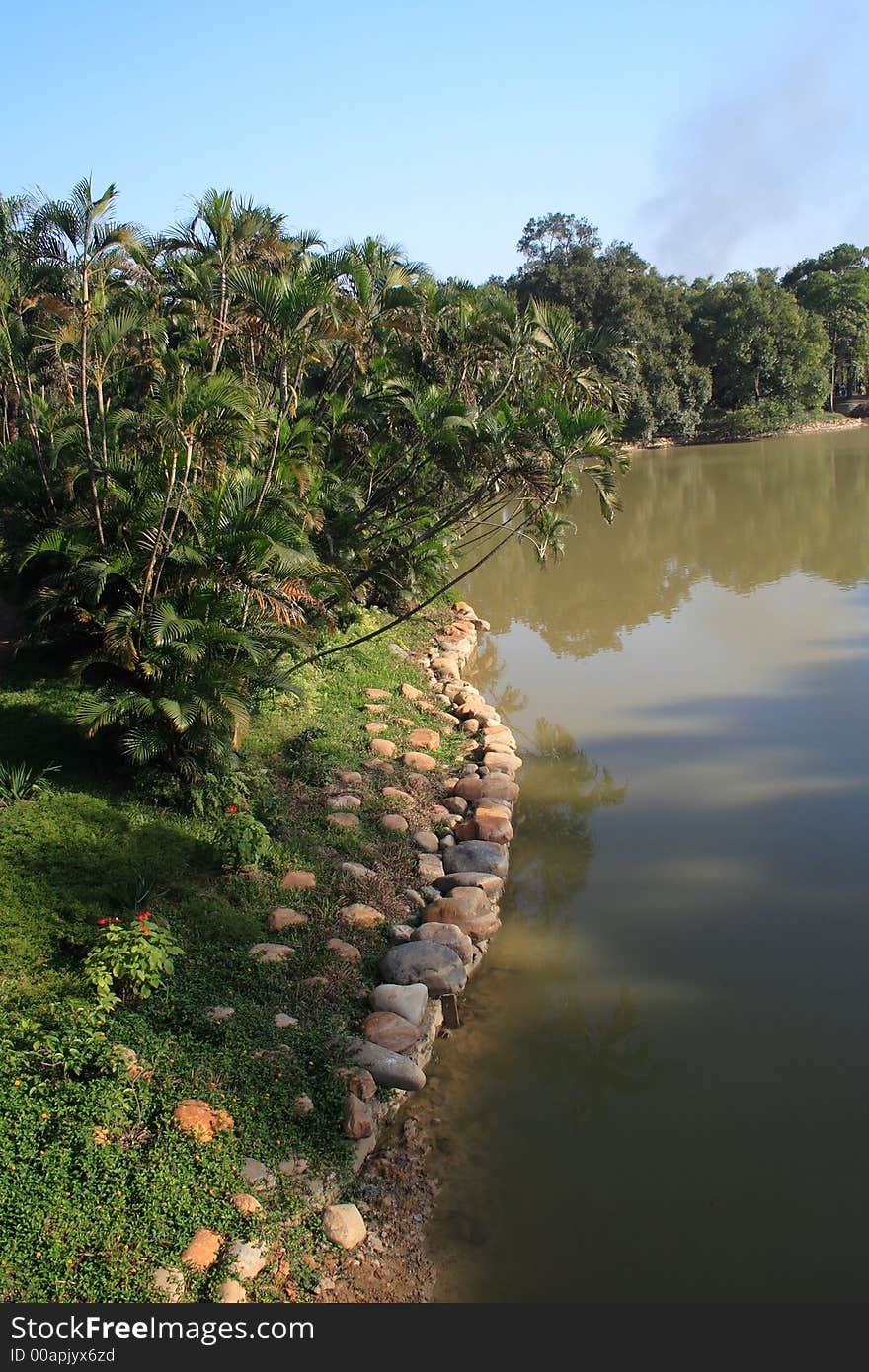 Landscape of lakeside with palm trees and rocks