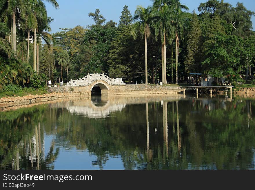 Lakescape with arch bridge,palm trees and reflection