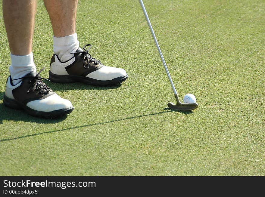 Photographed at local golf course in Georgia.