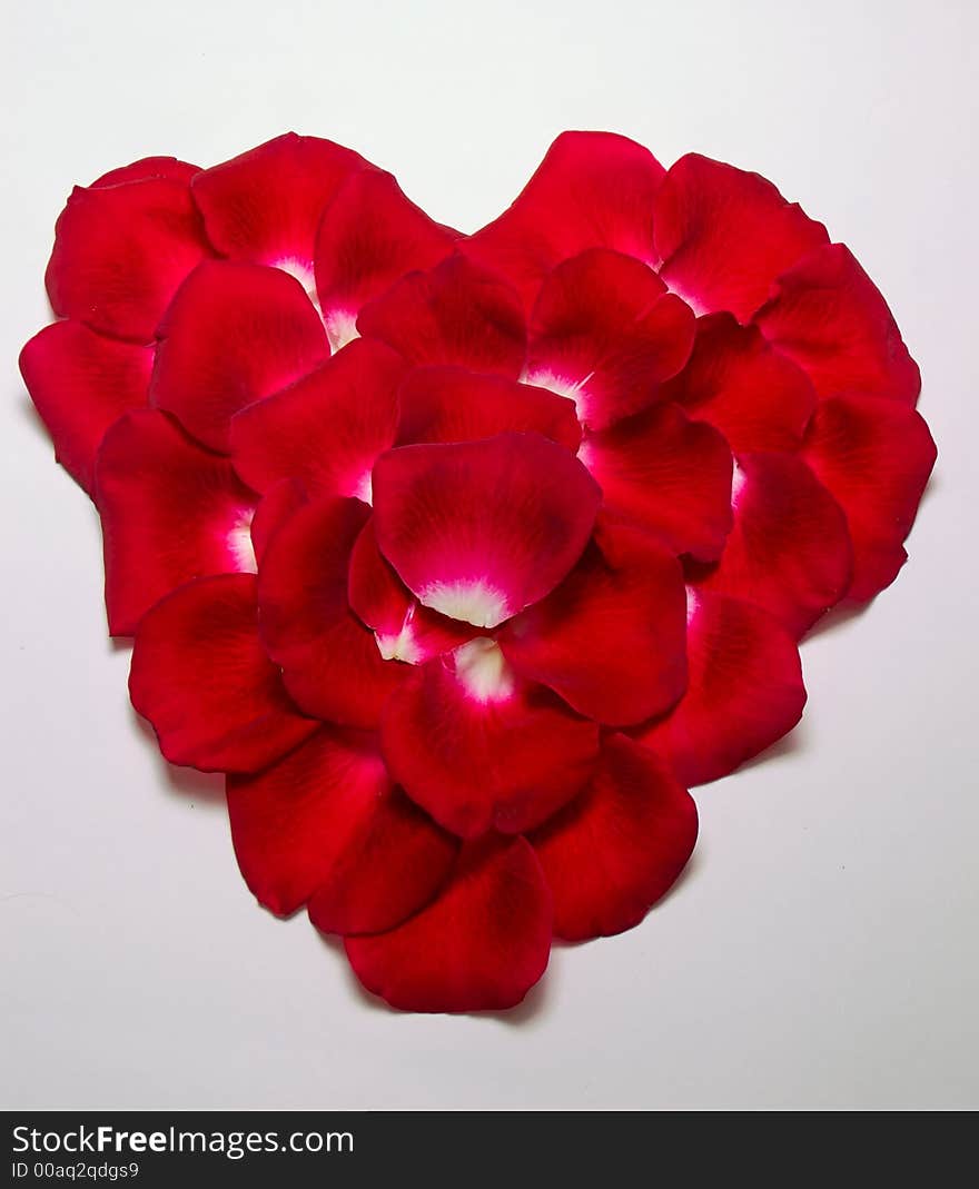 Photo of a heart shape made out of rose petals. Photo of a heart shape made out of rose petals