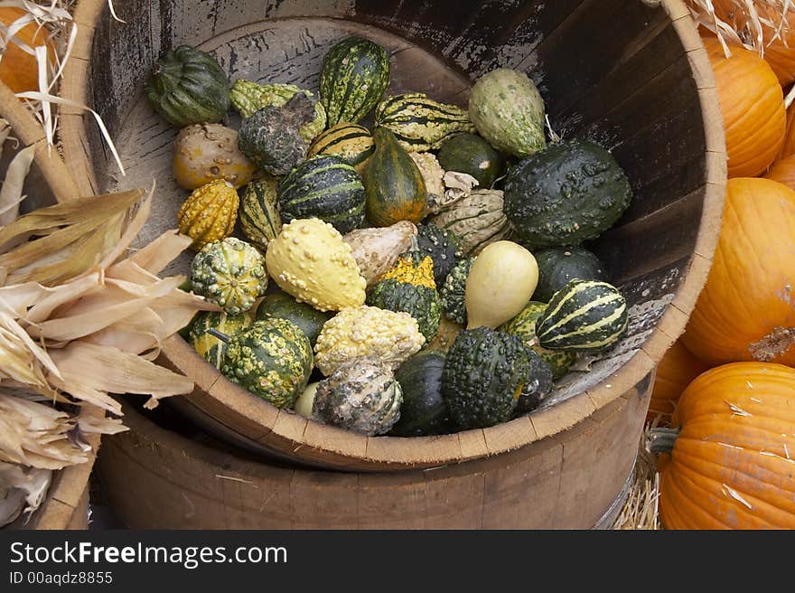 Green and wihite Pumpkin in a barrel