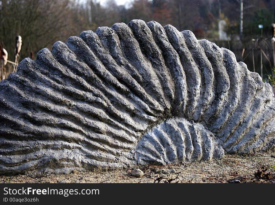 Structure of a fossilized ammonite