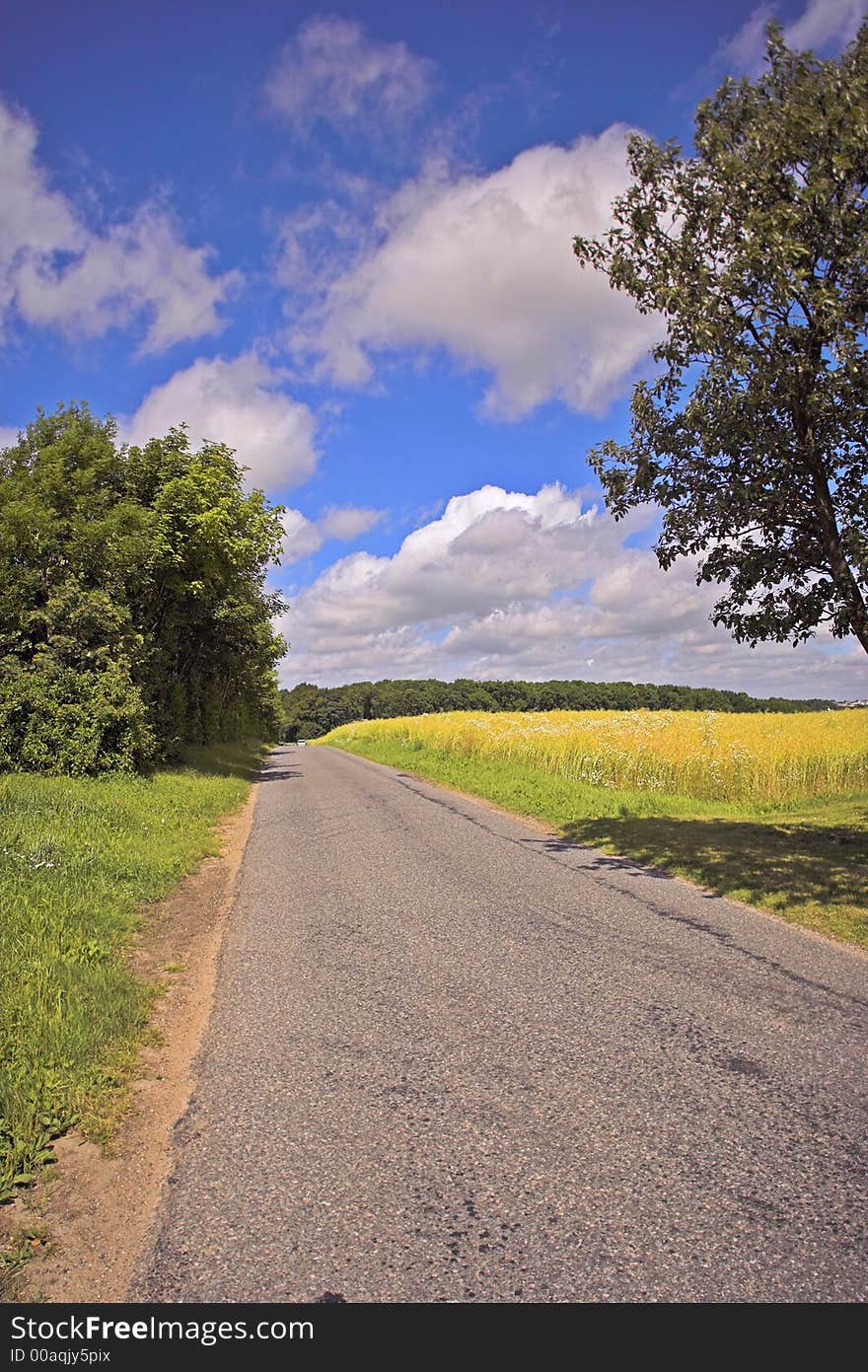 A photo of a countryside road in early summer (Denmark). A photo of a countryside road in early summer (Denmark)