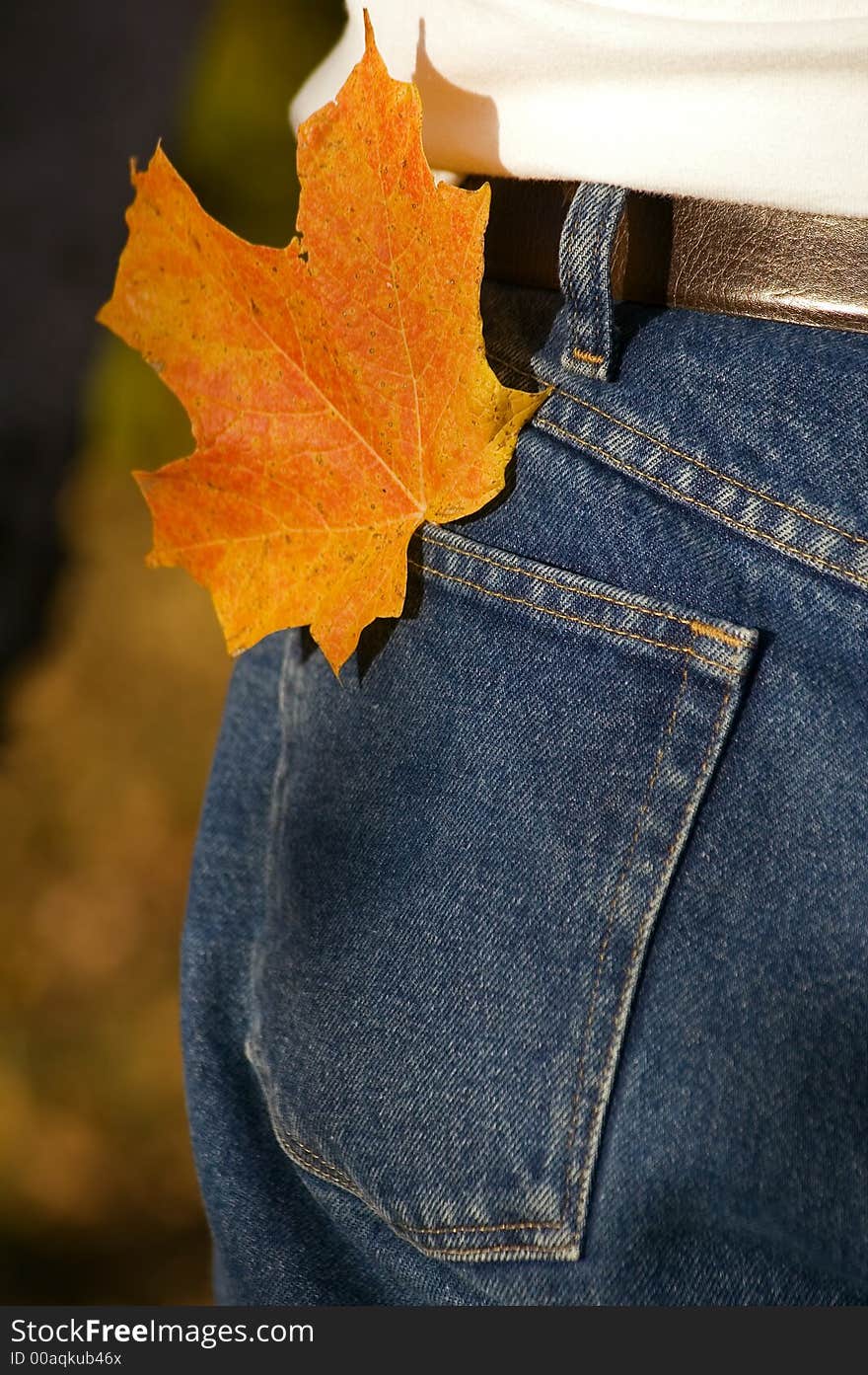 Colored Leaf in Hip Pocket