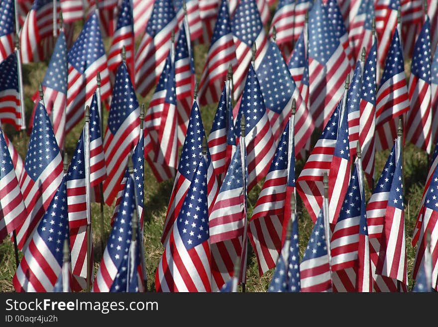 Field Of Flags