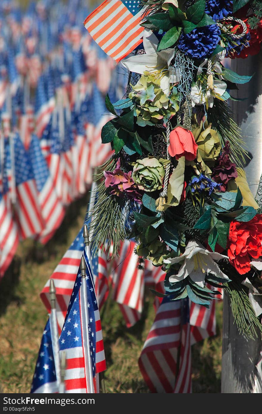 Field of Flags