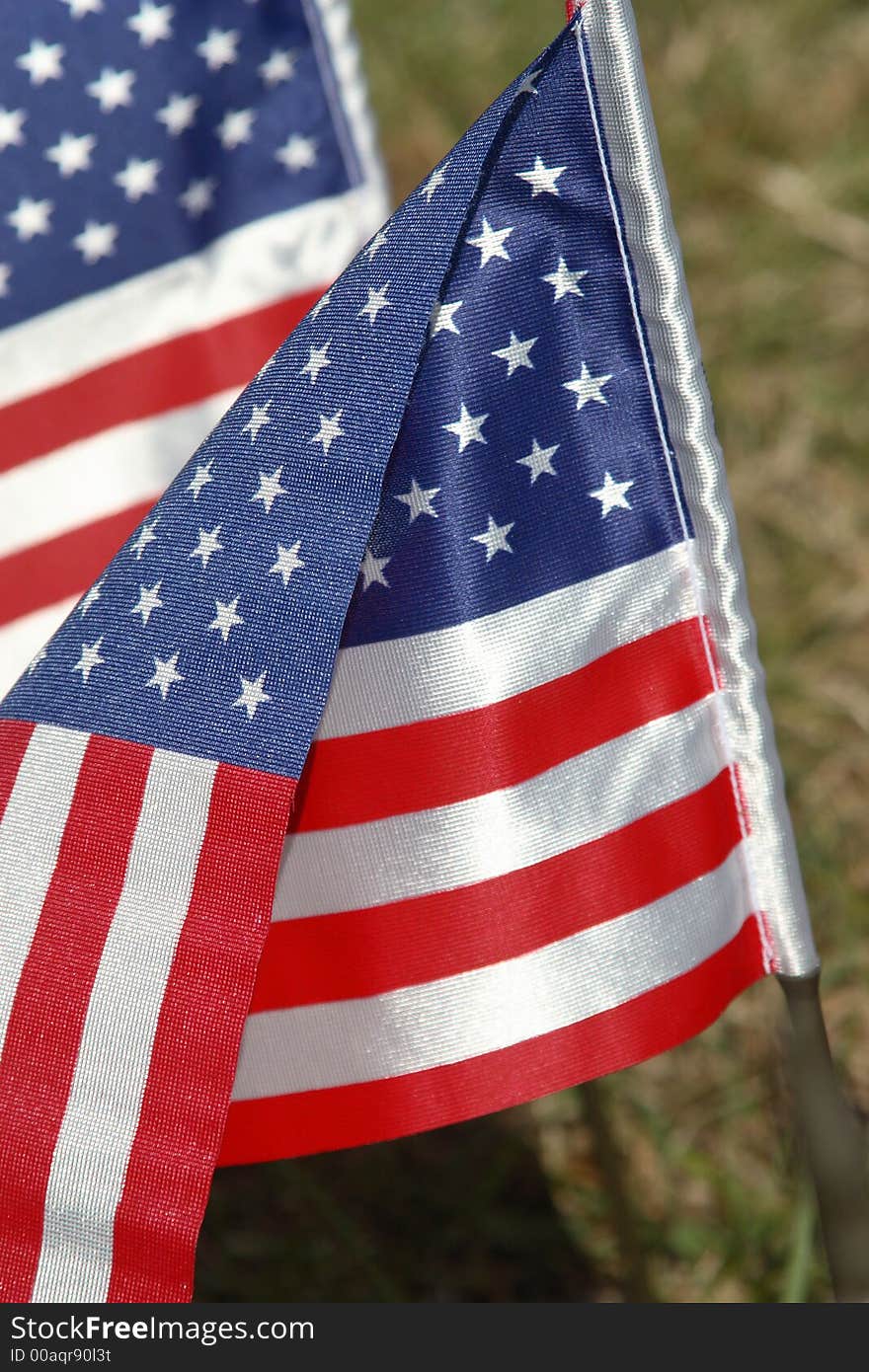 Field of Flags honoring veterans on veterans day