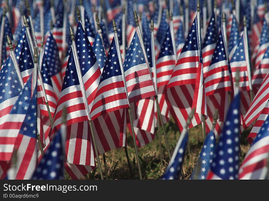 Field of Flags honoring veterans on veterans day