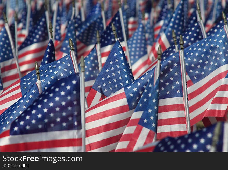 Field of Flags