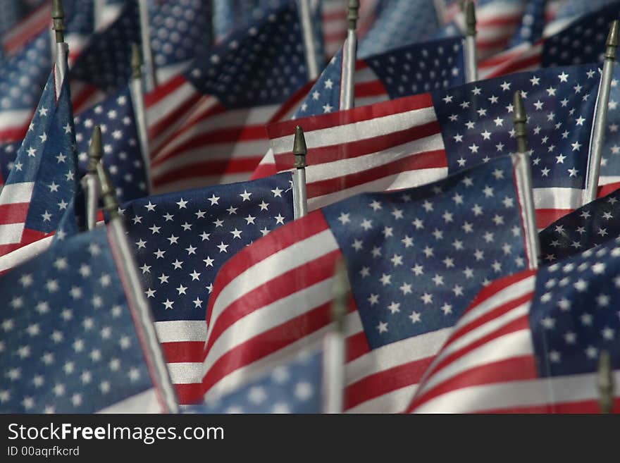 Field of Flags