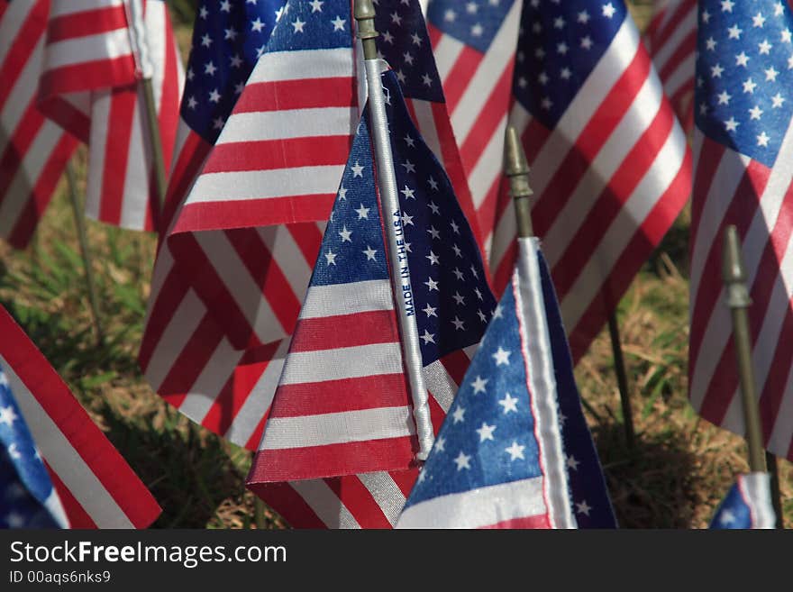 Field of Flags honoring veterans on veterans day