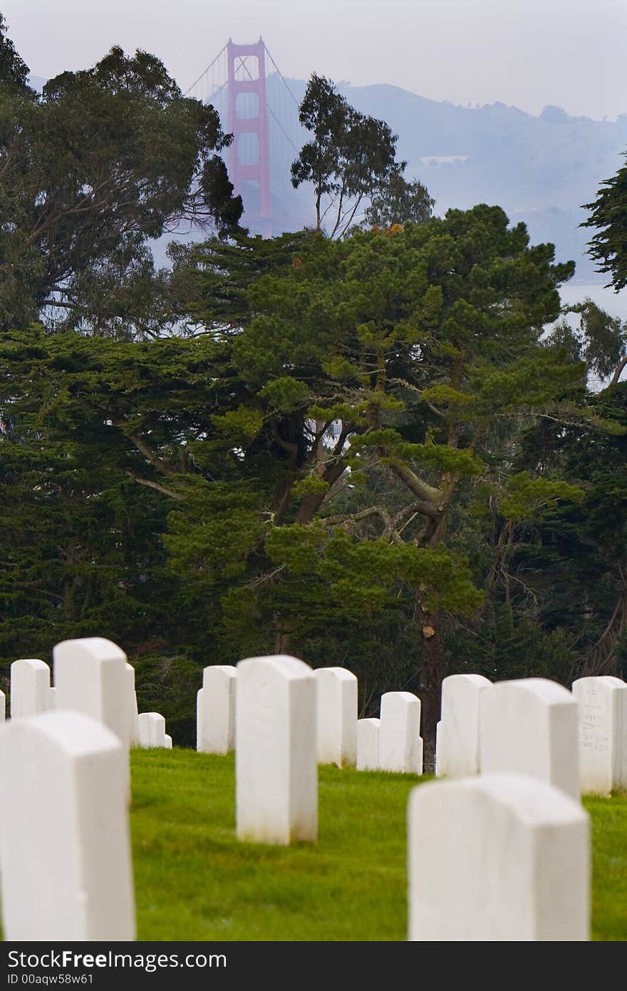 Shot of gravestones in the San Francisco National Cemetery with the Goden Gate Bridge in the background..