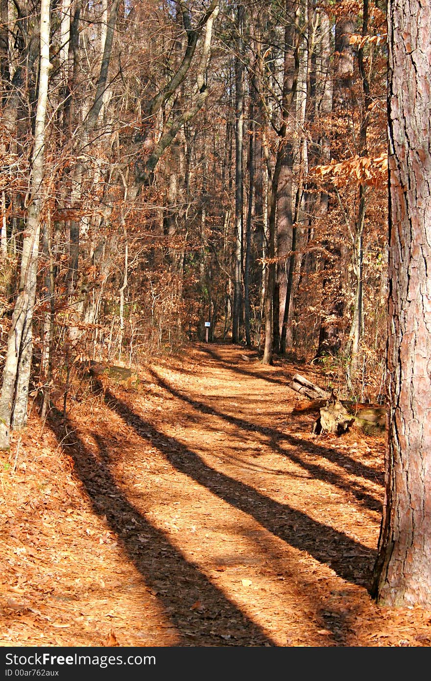 Woodland trail leading to a directional sign in the distance. Woodland trail leading to a directional sign in the distance