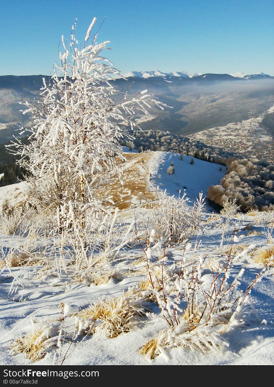 Winter mountainside (1)