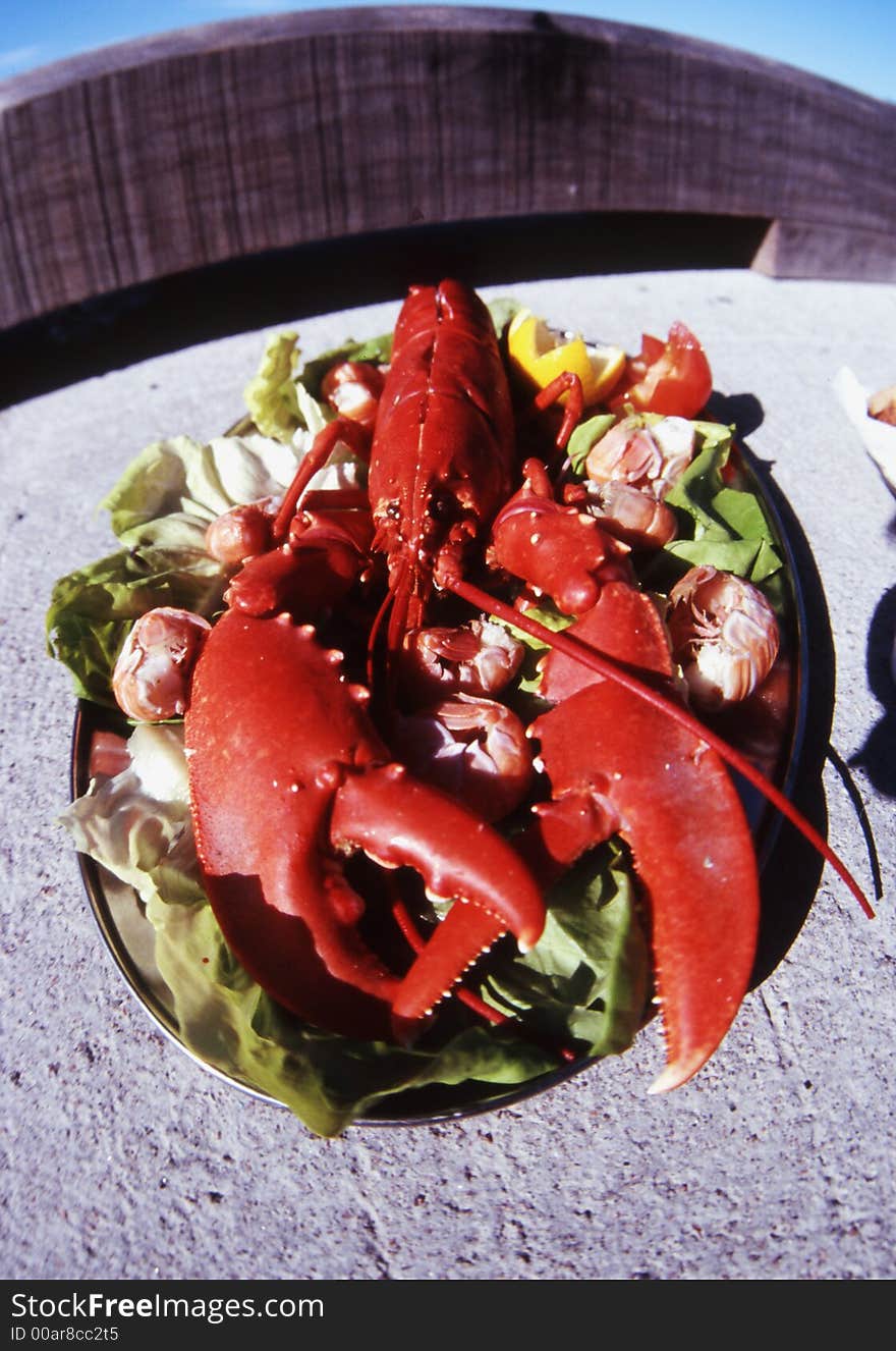 A lovely and delicious Scottish lobster tray, purchased at the port of Oban.