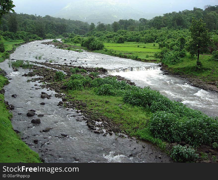 Beautiful Village Stream