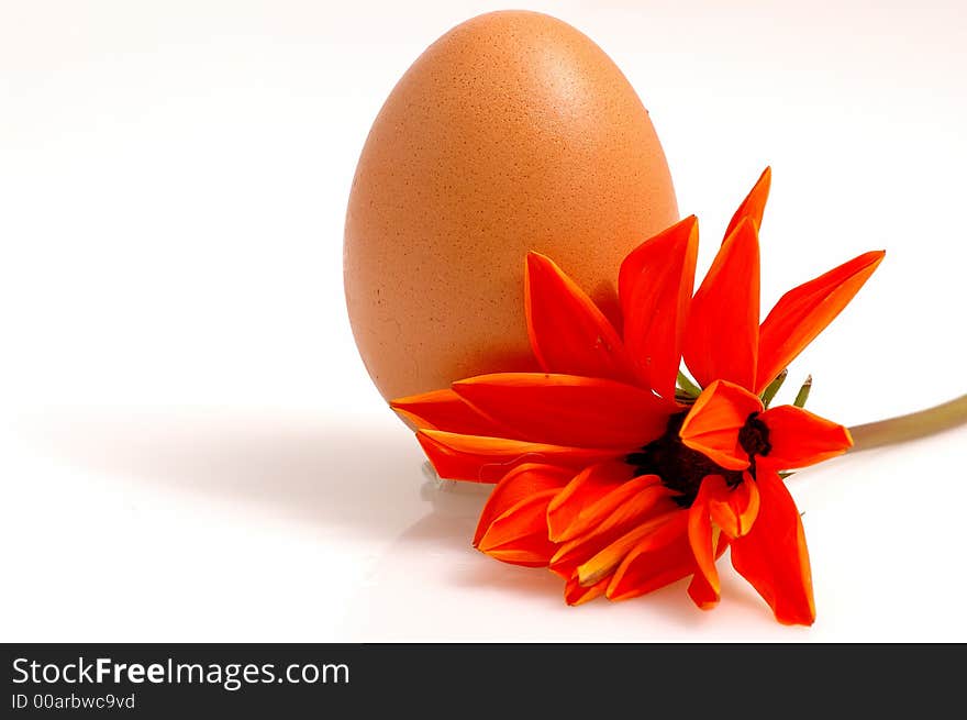 An Egg And Orange Flower