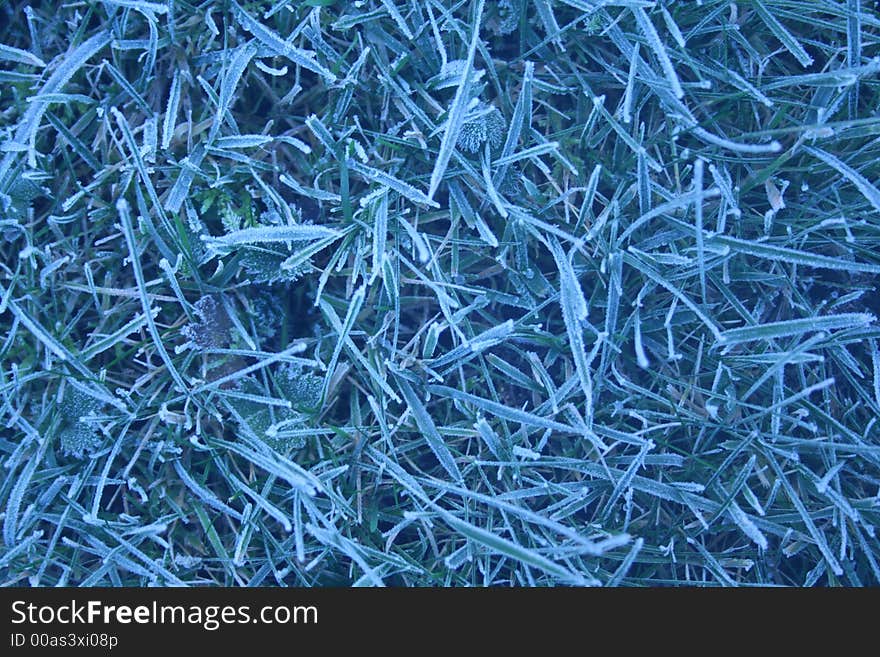 Frosty Grass Background