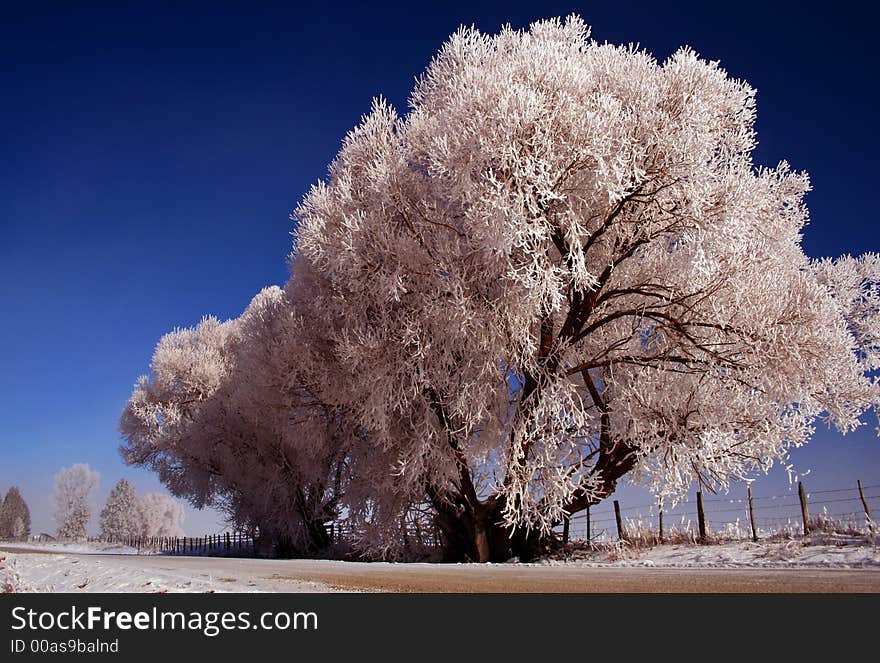 Thunder City Road - Winter 5