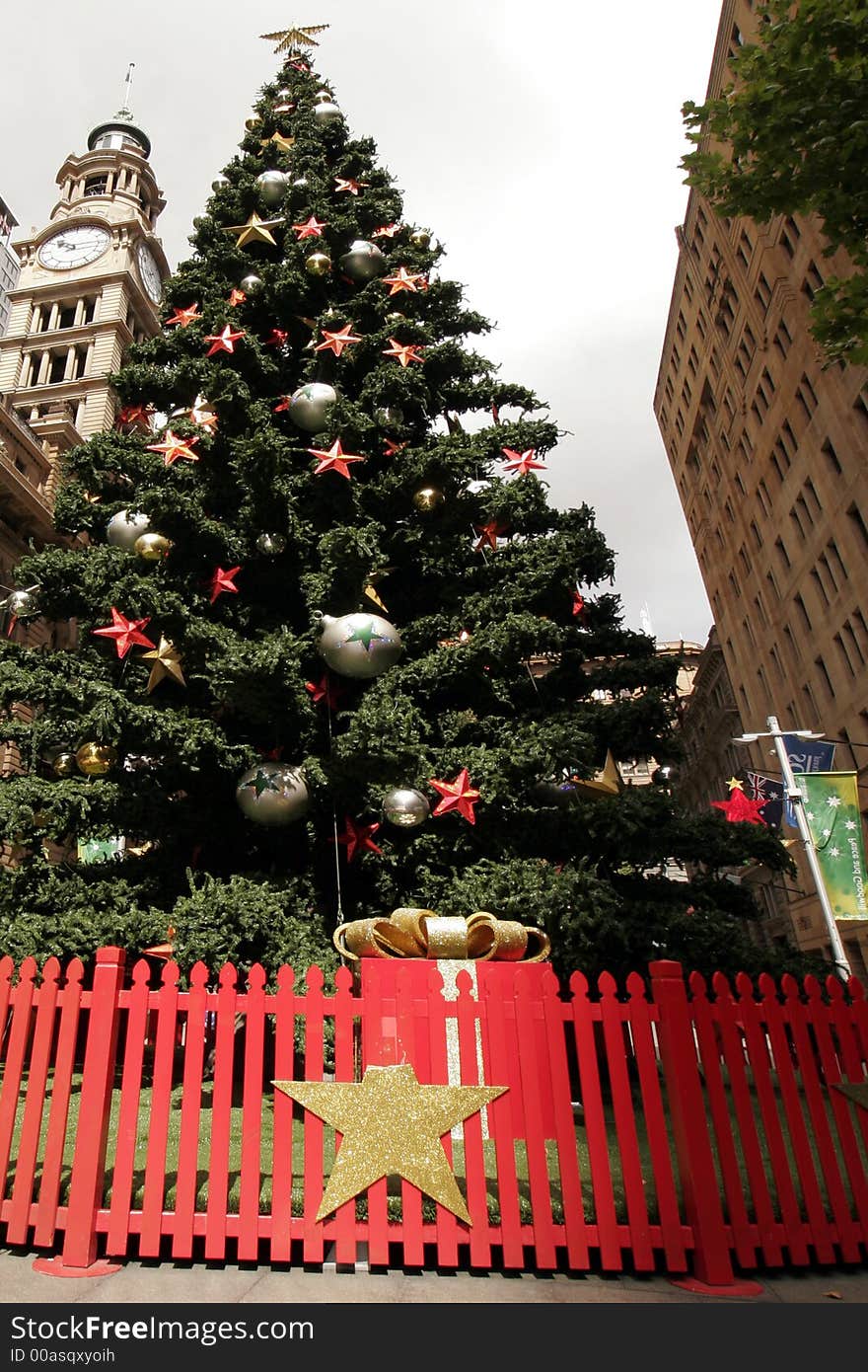 Tall Outdoor Christmas Tree With Decoration, Summer in Sydney, Australia