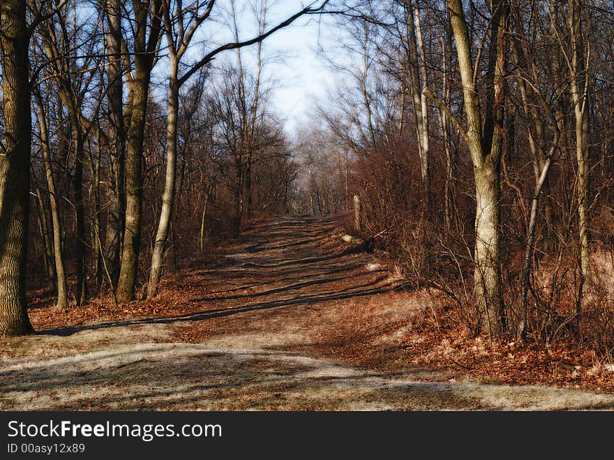Winter walking trail through a wooded park. Winter walking trail through a wooded park.