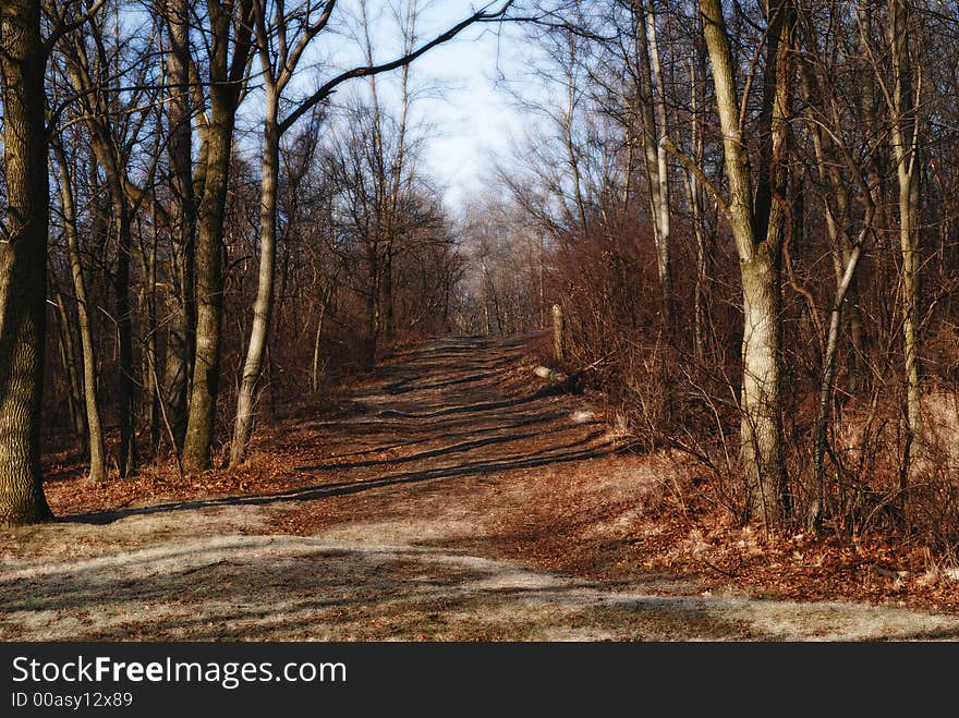 Walking Path