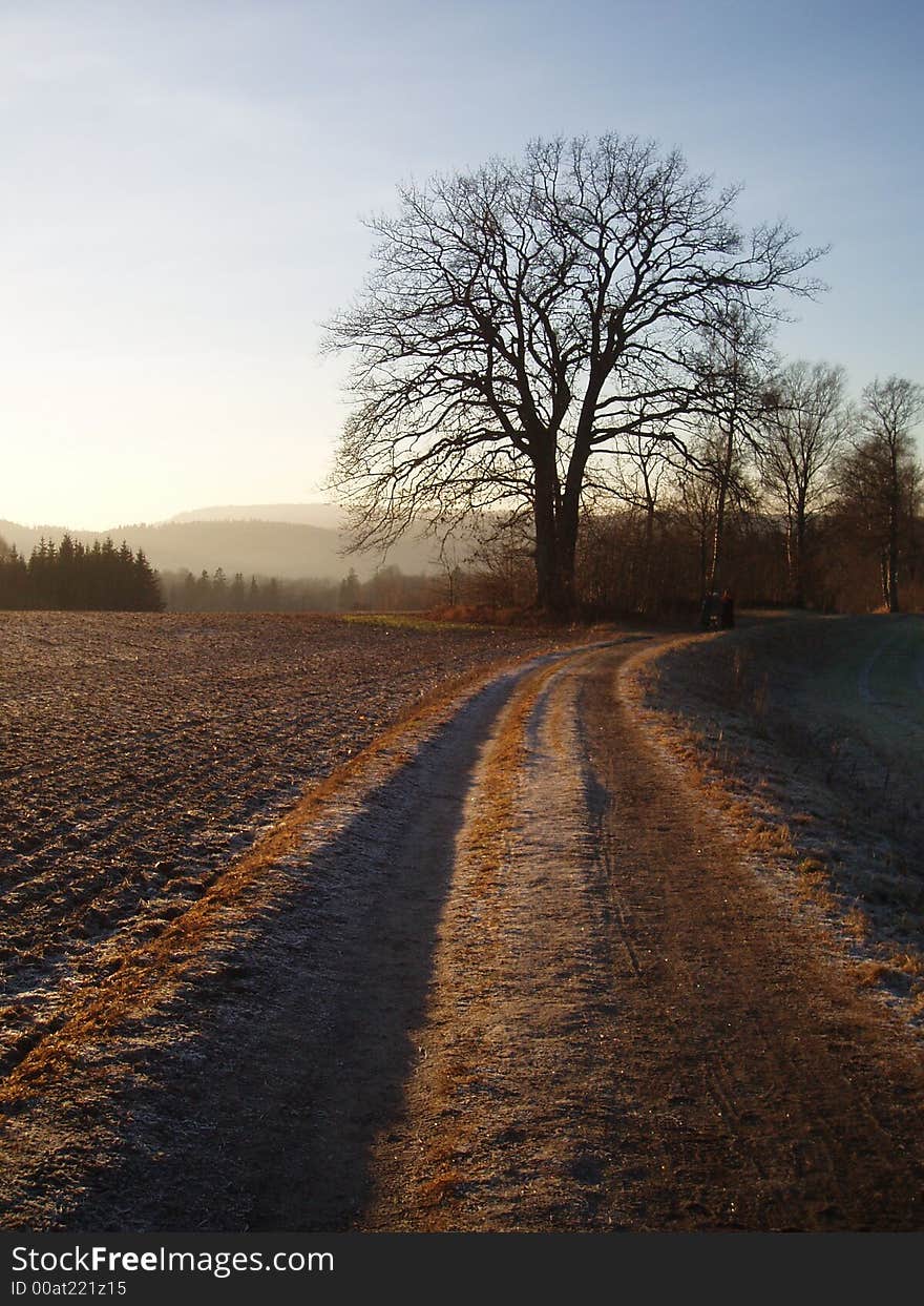 A road through the fields on a winters day. A road through the fields on a winters day