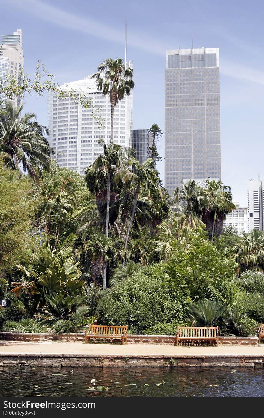 Urban Public Park In Front Of Tall City Office Buildings, Sydney, Australia. Urban Public Park In Front Of Tall City Office Buildings, Sydney, Australia