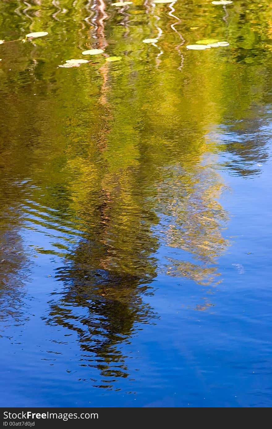 Reflection in a sunny day