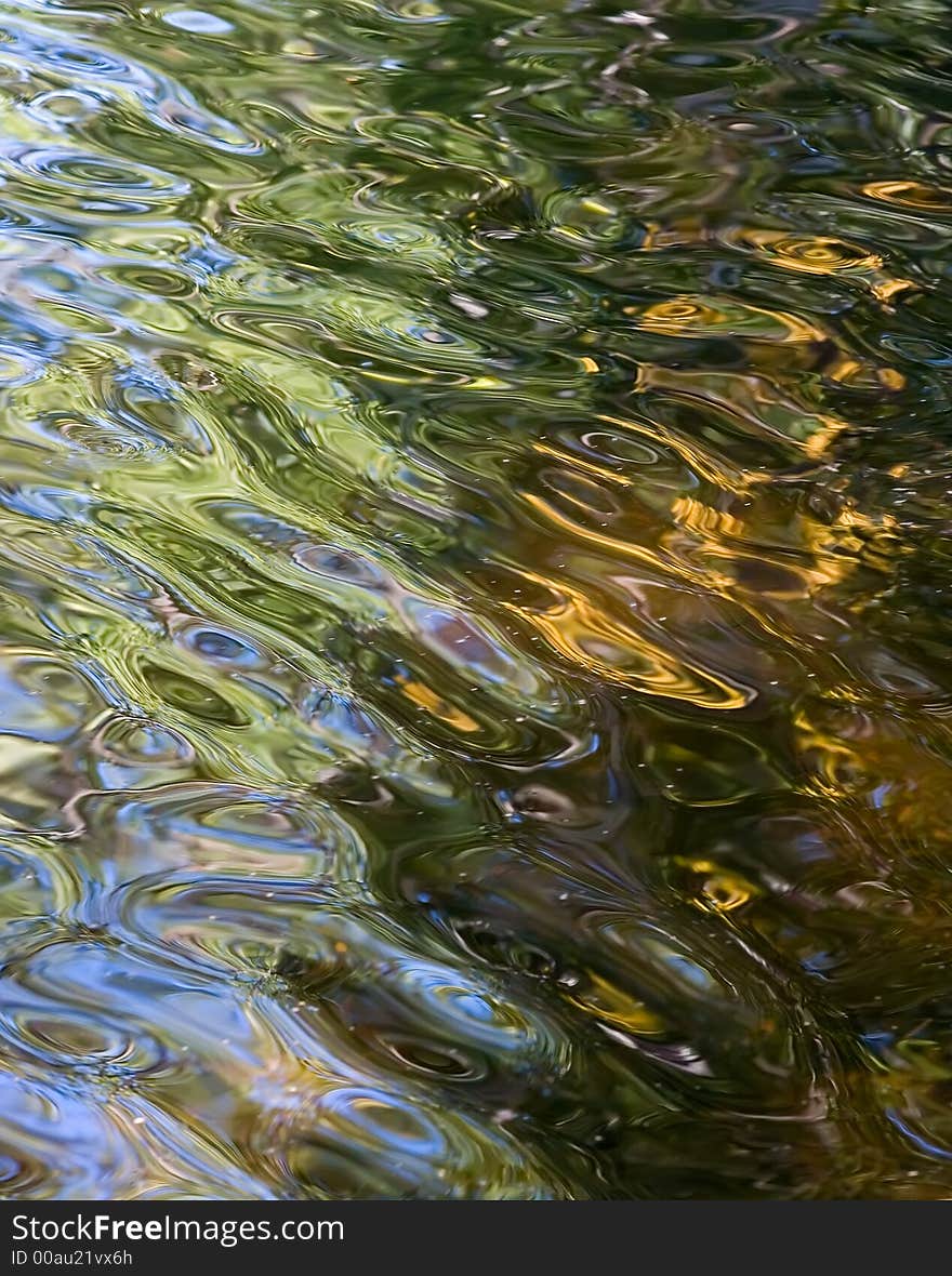 Reflection of a wood in lake in a sunny day. Reflection of a wood in lake in a sunny day