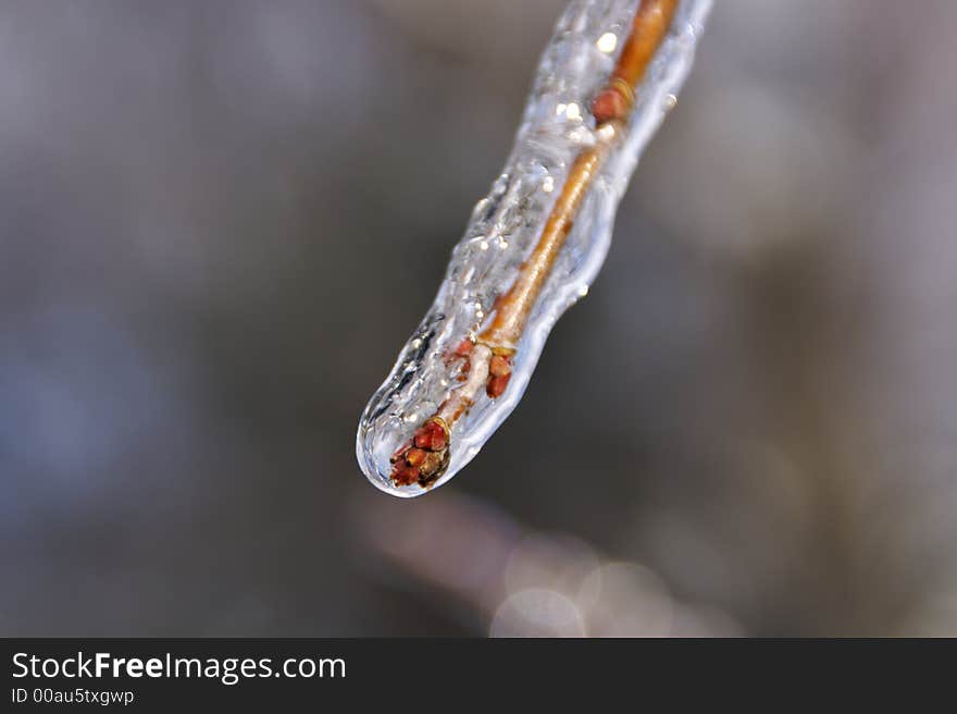 Snow And Ice Storm