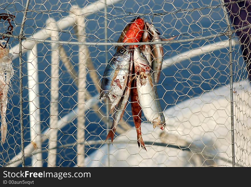 Fishing series - fish trap/coop