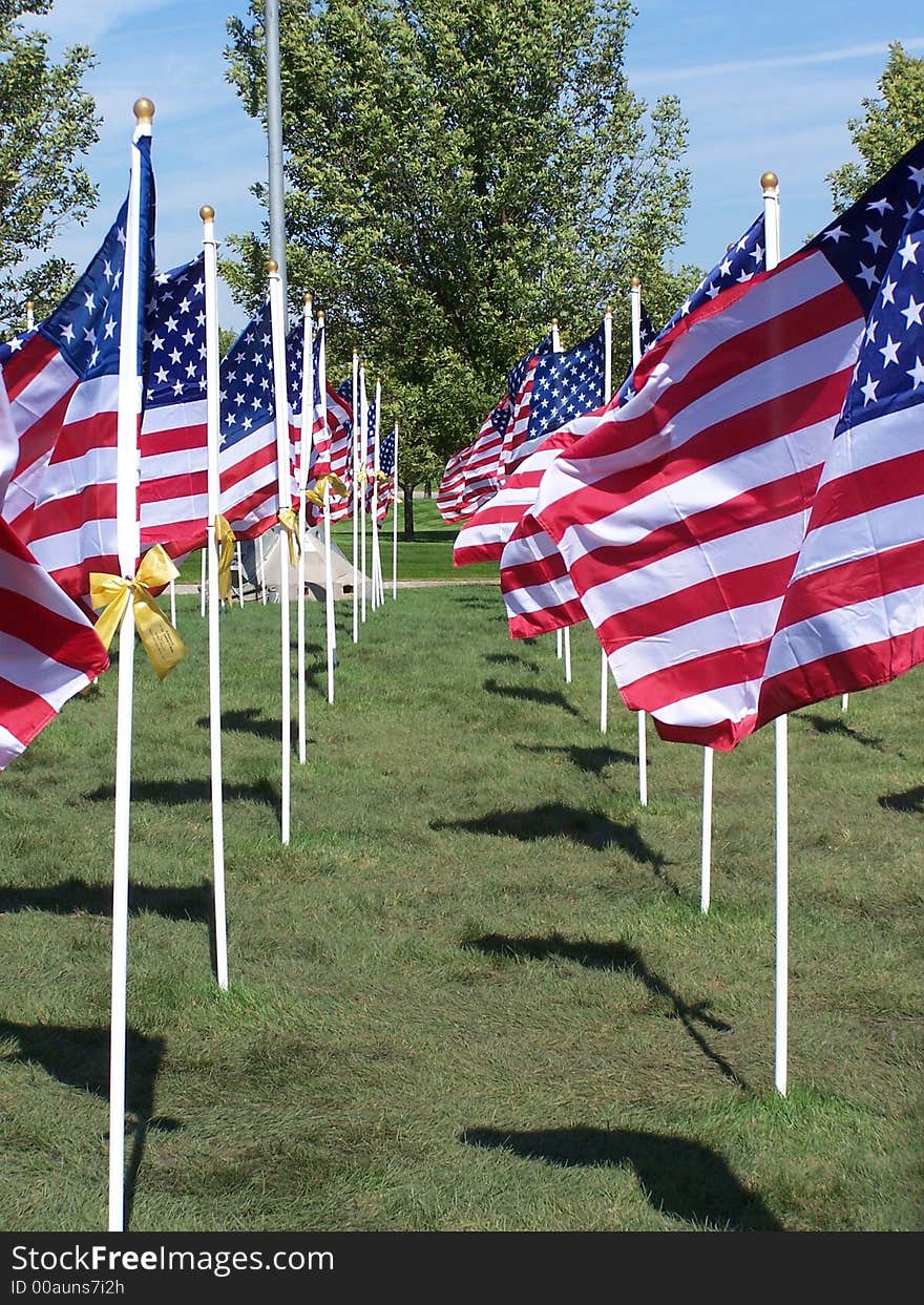 Line of American flags