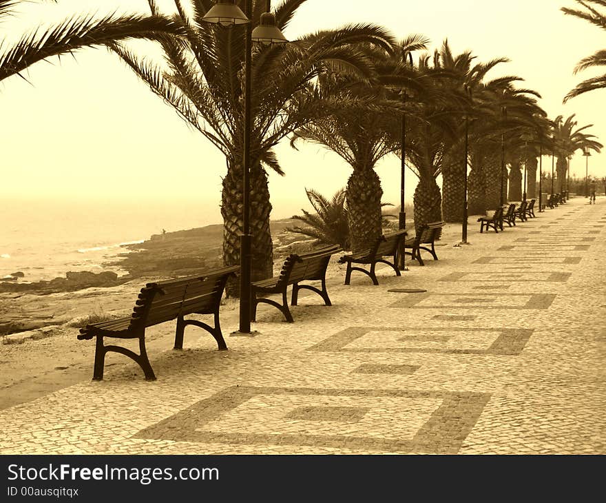 Seaside walk with chairs and palms