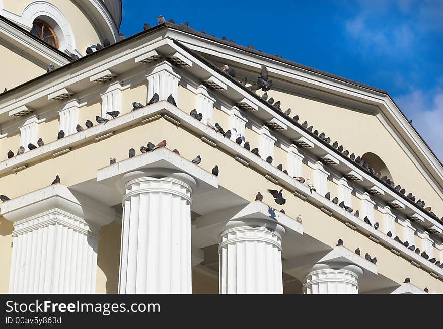 Sitting and flying pigeons