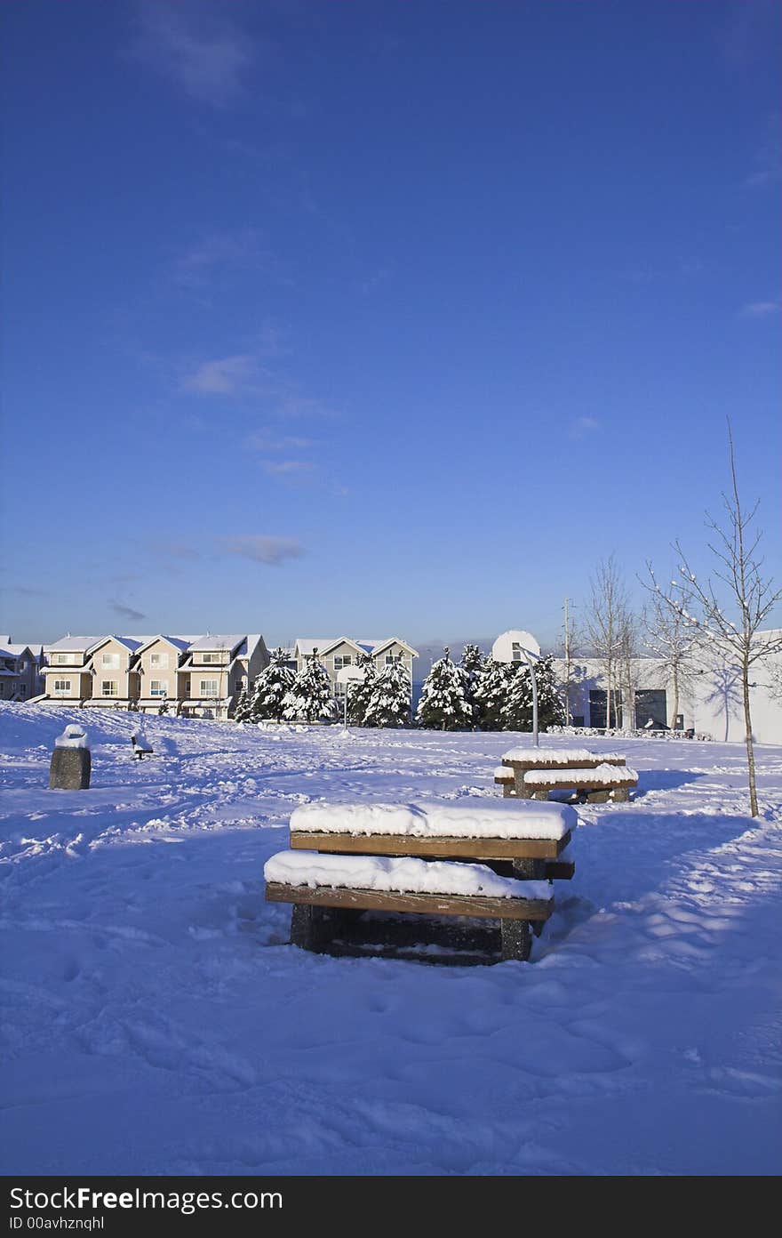 Snow scene over blue sky