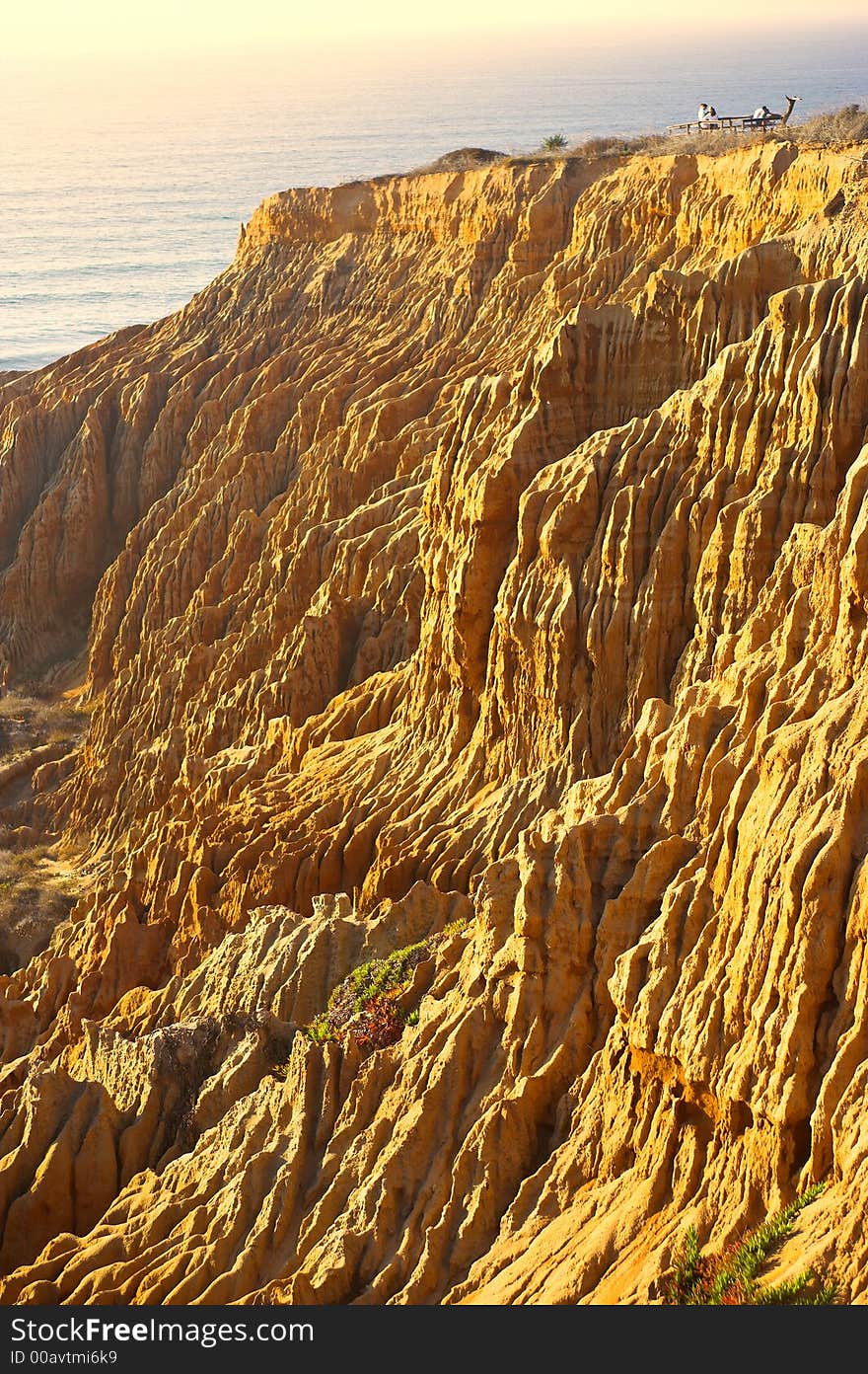 Torrey Pines