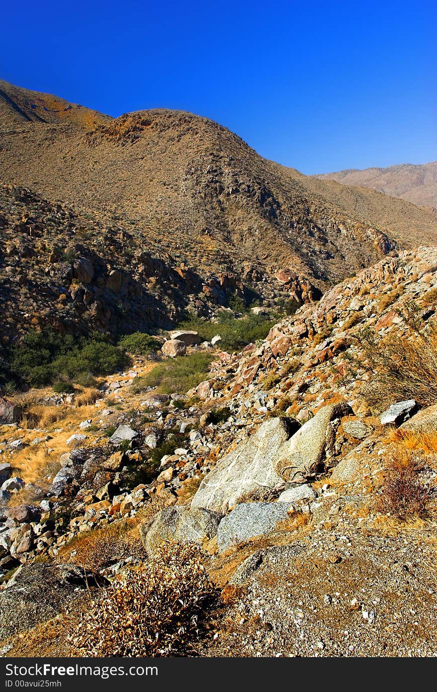 Panorama view of North American desert